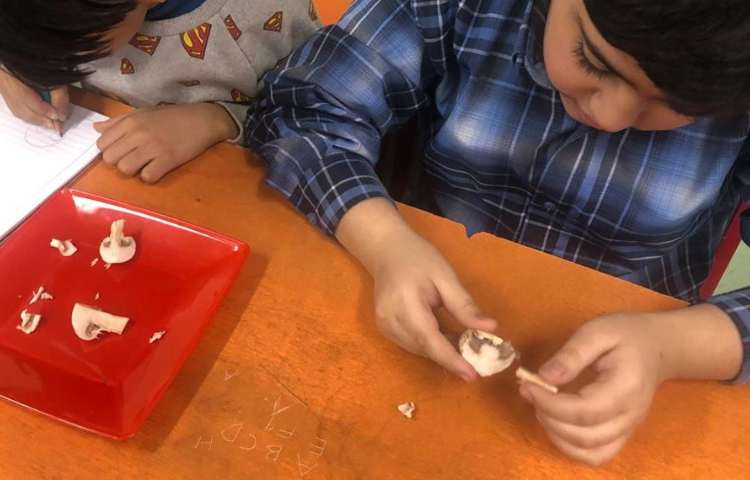 هفته ملی علوم پایه چهارم دبستان علوی 1