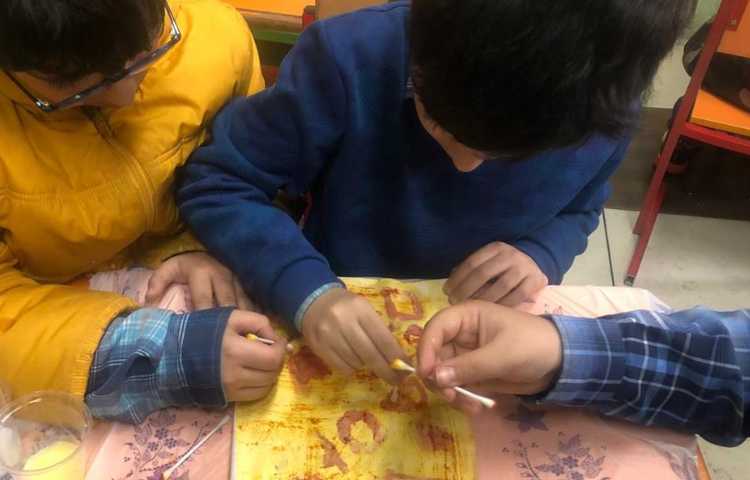 هفته ملی علوم پایه چهارم دبستان علوی 11