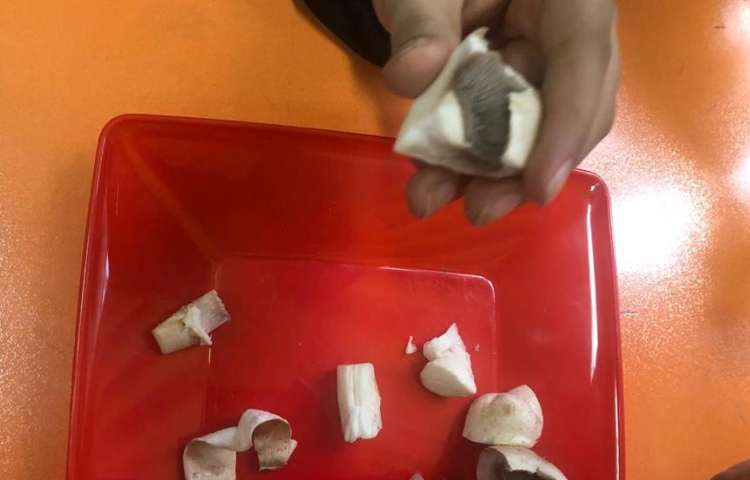 هفته ملی علوم پایه چهارم دبستان علوی 2