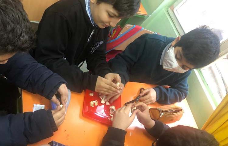 هفته ملی علوم پایه چهارم دبستان علوی 3