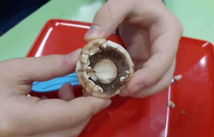 هفته ملی علوم پایه چهارم دبستان 12