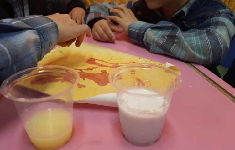 هفته ملی علوم پایه چهارم دبستان 15