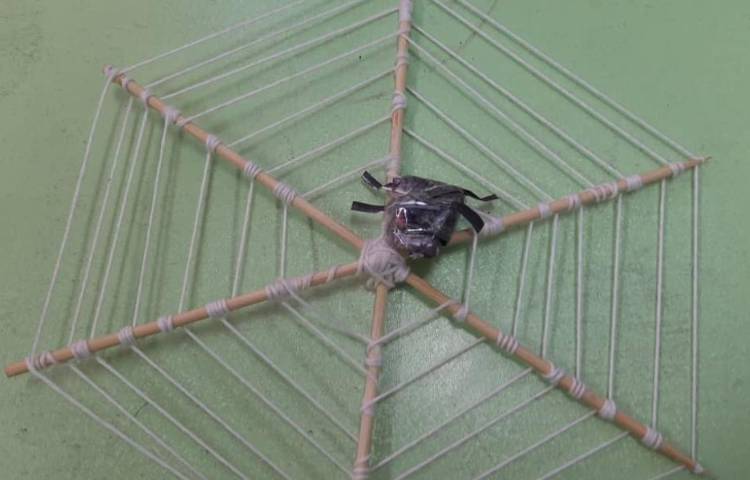 هفته ملی علوم پایه چهارم دبستان 5