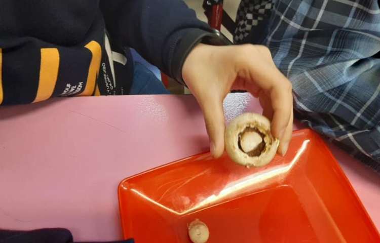 هفته ملی علوم پایه چهارم دبستان