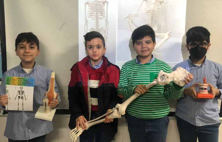 هفته ملی علوم پوکی استخوان