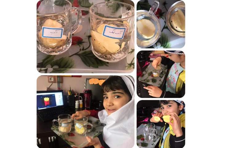 هفته ملی علوم، پژوهش :سیب زمینی چروکیده ...دختر خوبم آندیا حق بیان ارکیده 1