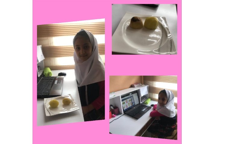 هفته ملی علوم، پژوهش :سیب زمینی چروکیده ...دختر خوبم اریسا پور حیدر