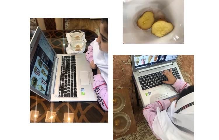 هفته ملی علوم، پژوهش :سیب زمینی چروکیده ...دختر خوبم السا خاکیان 1