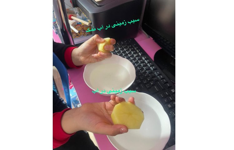 هفته ملی علوم، پژوهش :سیب زمینی چروکیده ...دختر خوبم رها اجلالی