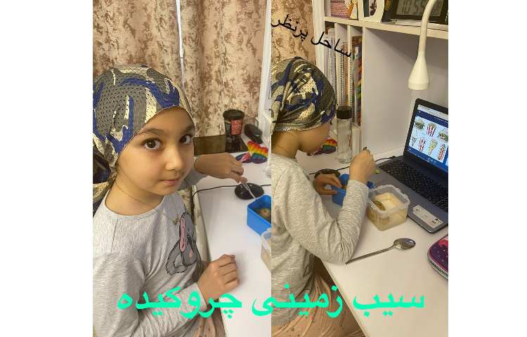 هفته ملی علوم، پژوهش :سیب زمینی چروکیده ...دختر خوبم ساحل پر نظر 1