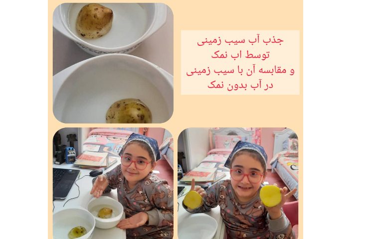 #هفته ملی علوم، پژوهش :سیب زمینی چروکیده ...دختر خوبم پانیذ پور بهرام 1
