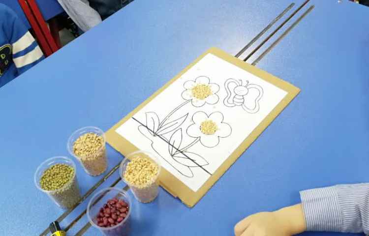 هفته ملی علوم کلاژ حبوبات 11