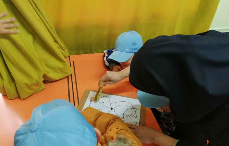 هفته ملی علوم کلاژ حبوبات 20