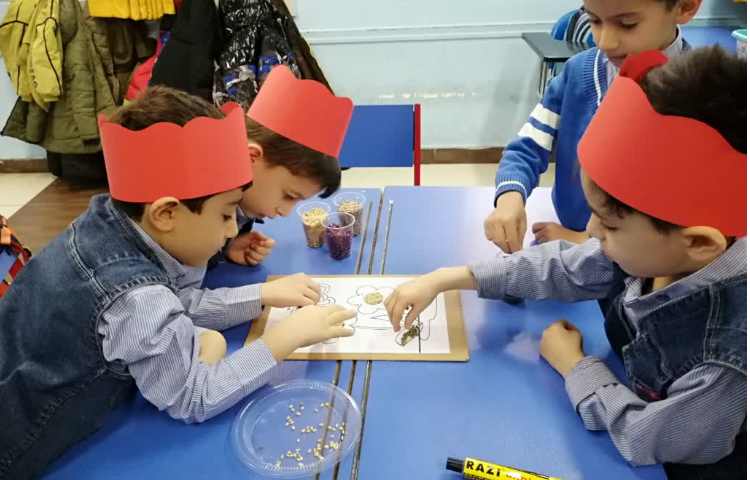 هفته ملی علوم کلاژ حبوبات 4