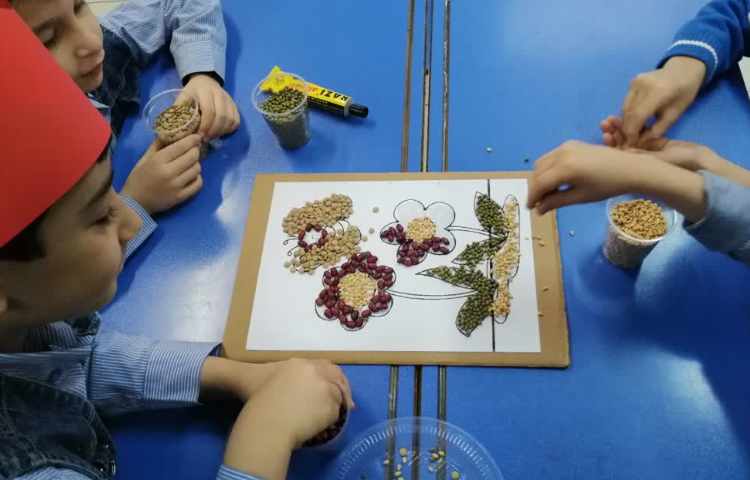 هفته ملی علوم کلاژ حبوبات 6