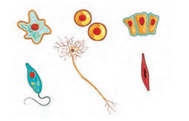 هفته ملی علوم 1