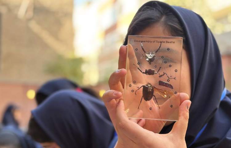 هفته ملی علوم 1