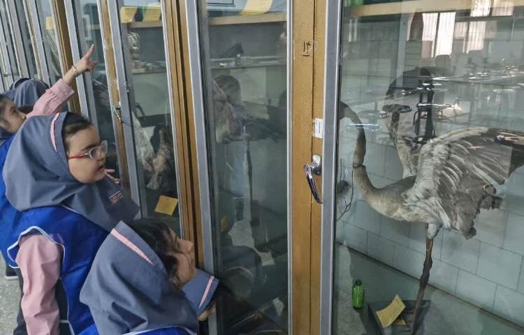 هفته ملی علوم 10