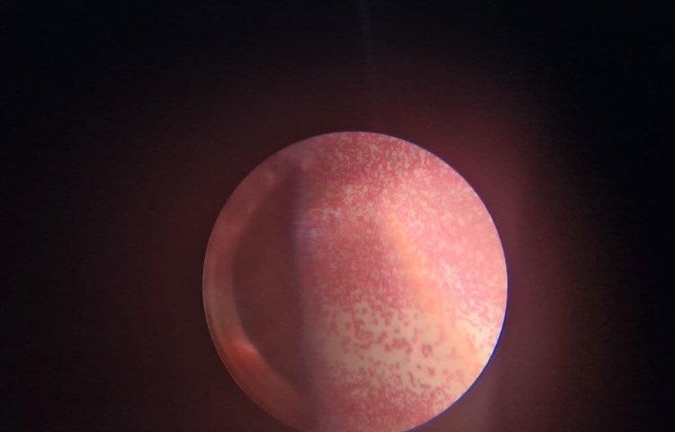 هفته ملی علوم 13