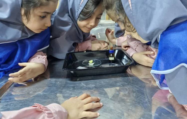 هفته ملی علوم 15