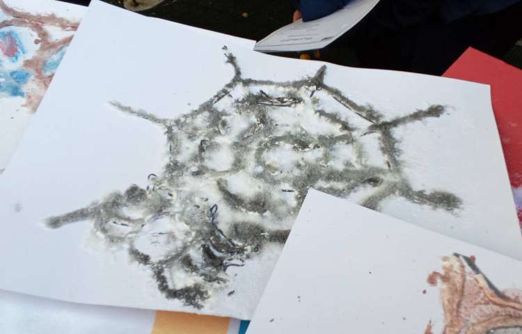 هفته ملی علوم 16