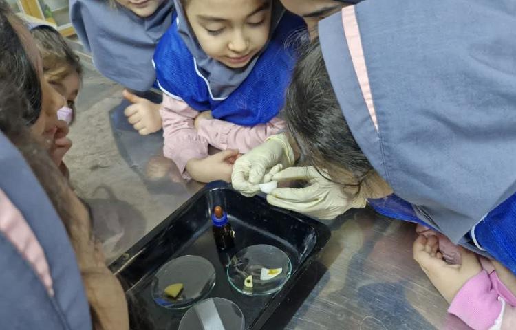 هفته ملی علوم 16