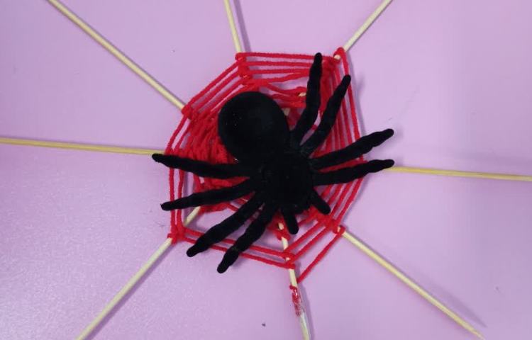 هفته ملی علوم 2