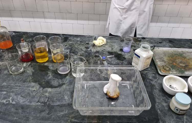 هفته ملی علوم 2