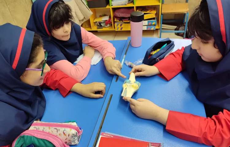 هفته ملی علوم 4