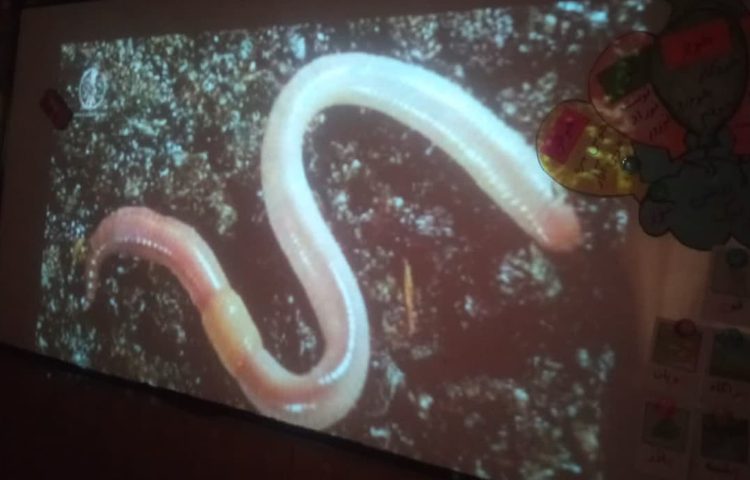 هفته ملی علوم 6