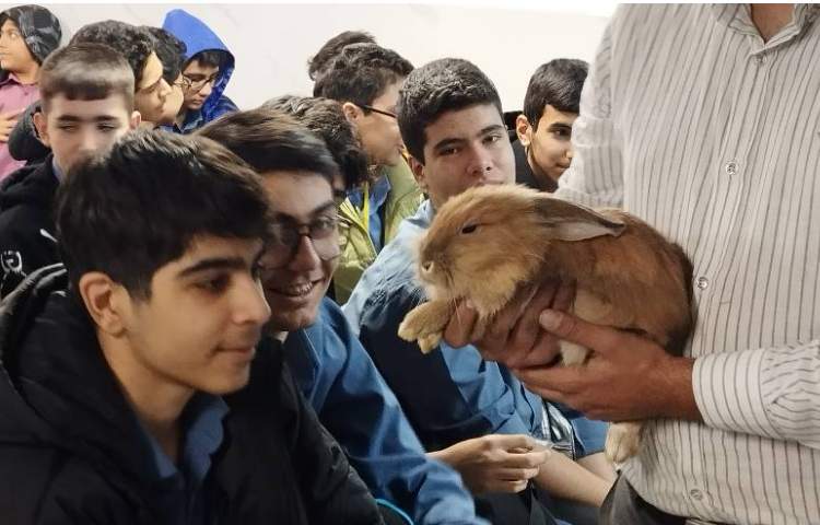 هفته ملی علوم 6