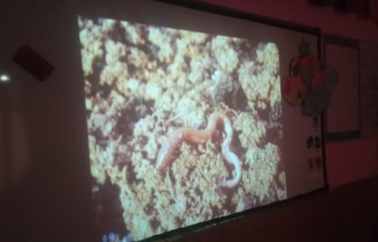 هفته ملی علوم 7