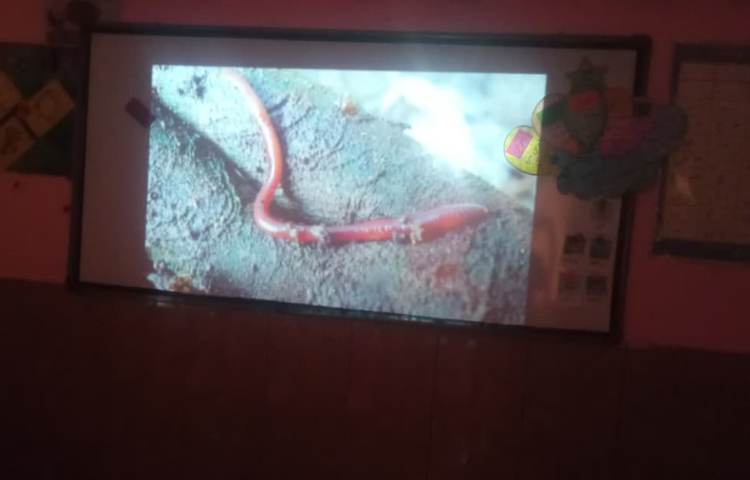 هفته ملی علوم 8