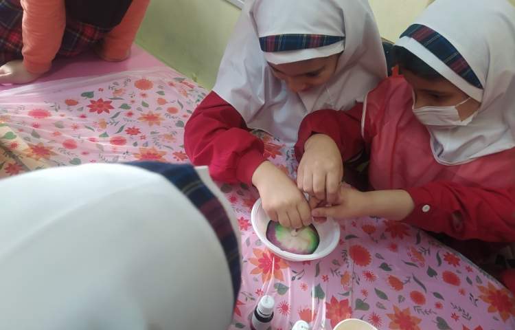 هفته ملی علوم 8