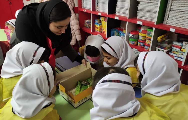 هفته ملی علوم 8