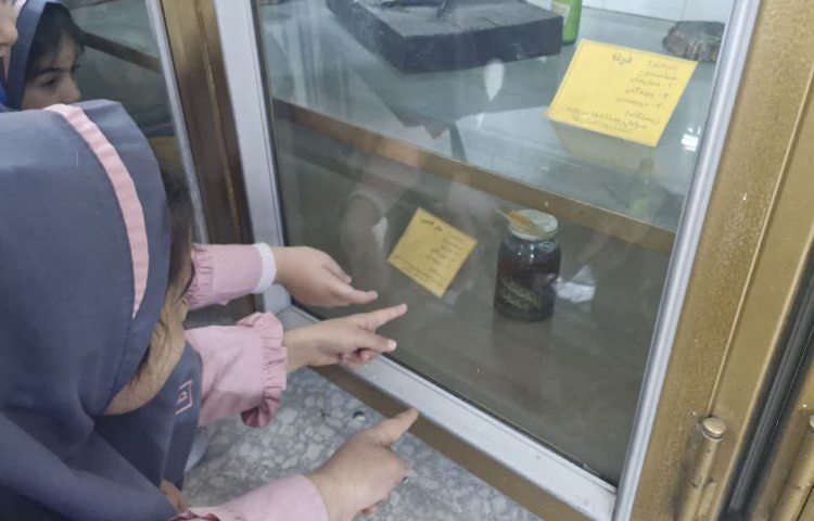 هفته ملی علوم 9