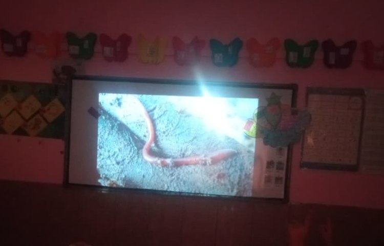 هفته ملی علوم