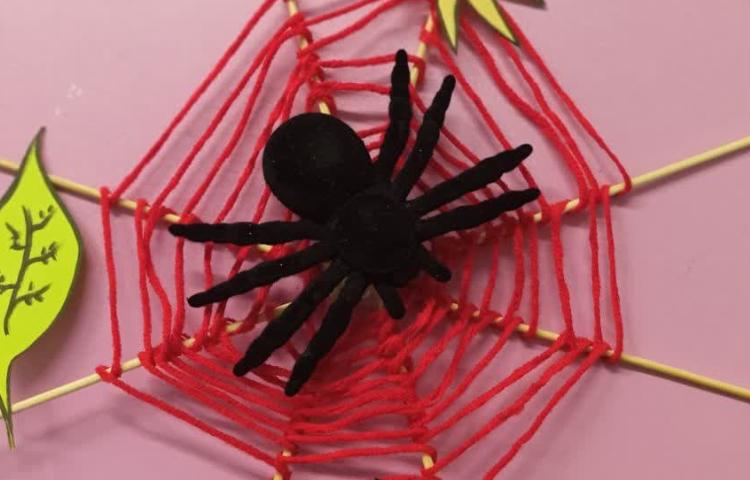 هفته ملی علوم