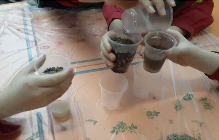 هفته ملی علوم