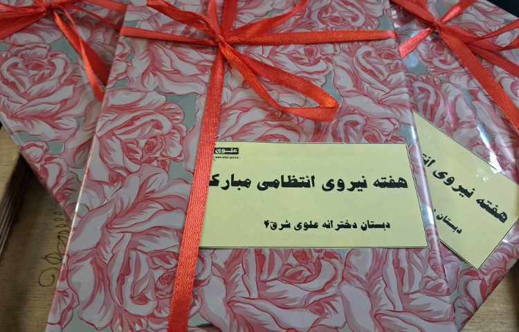 هفته نیروی انتظامی 2