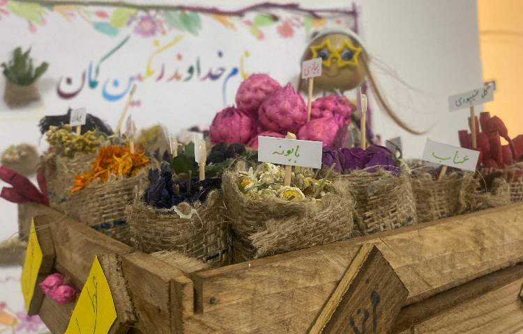 هفته پژوهش 17