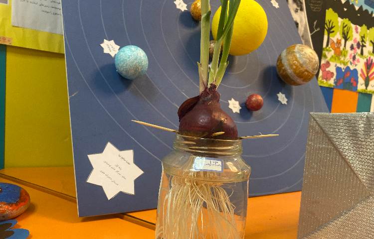 هفته پژوهش 3