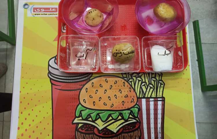 هفته ی علوم" سیب زمینی چروکیده" 1