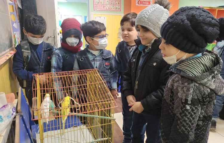 :هفته ی علوم، عکس های منتخب پروژه های "کرم خاکی، شهر خوراکی ها، تابلو سنگی_صدفی و حیوانات خانگی 3