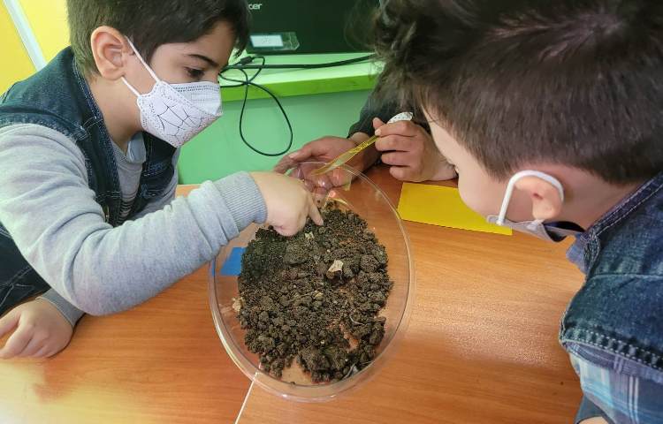 :هفته ی علوم، عکس های منتخب پروژه های "کرم خاکی، شهر خوراکی ها، تابلو سنگی_صدفی و حیوانات خانگی 5