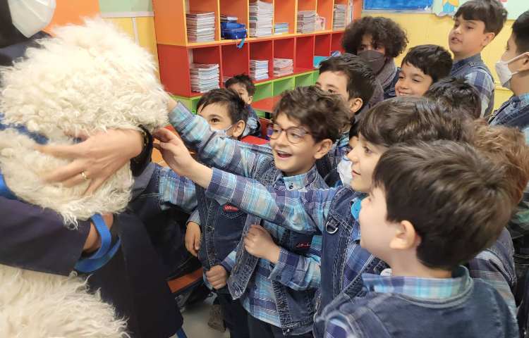 :هفته ی علوم، عکس های منتخب پروژه های "کرم خاکی، شهر خوراکی ها، تابلو سنگی_صدفی و حیوانات خانگی 6