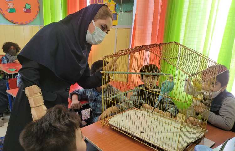 :هفته ی علوم، عکس های منتخب پروژه های "کرم خاکی، شهر خوراکی ها، تابلو سنگی_صدفی و حیوانات خانگی