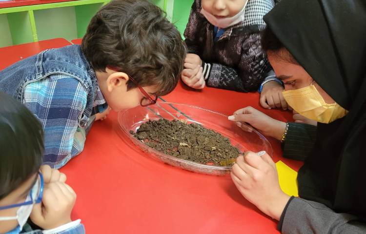 :هفته ی علوم، عکس های منتخب پروژه های "کرم خاکی، شهر خوراکی ها، تابلو سنگی_صدفی و حیوانات خانگی 8