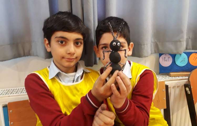 هفته ی علوم - مهندسان طبیعت( مورچه) 4