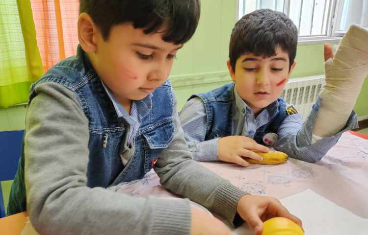 هفته ی علوم میوه های خشک 1